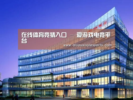 爱游戏娱乐案例展示三