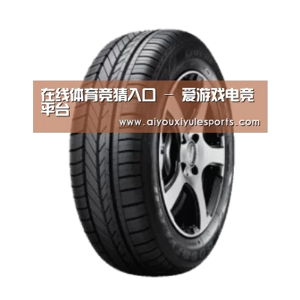 爱游戏娱乐产品名称一